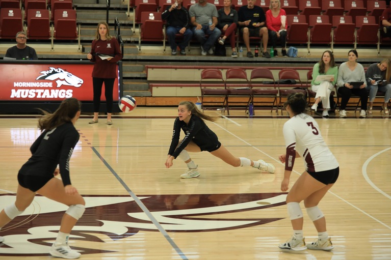 Thumbnail photo for the Women's Volleyball vs Doane gallery